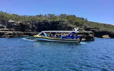 South Coast Experience